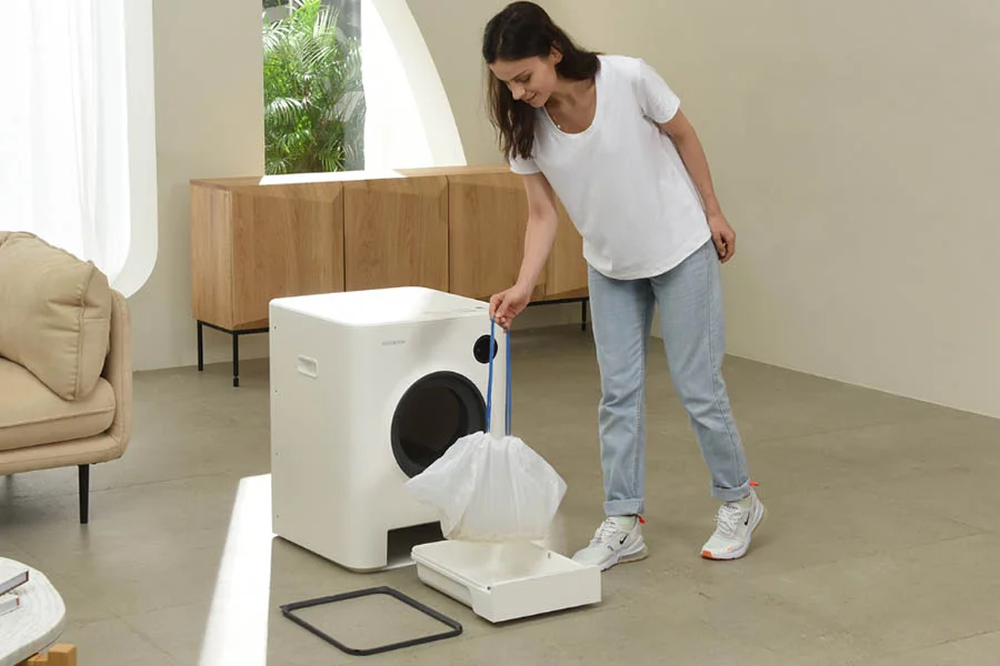 odor free litter box